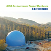 ���ι���Ĥ��