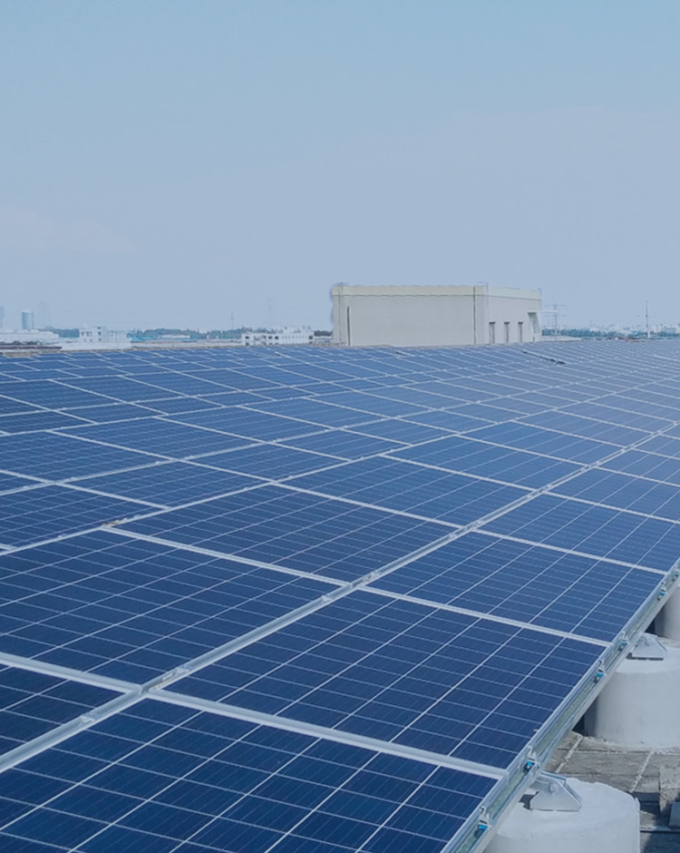 ��ɫ����